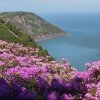 South West Coastal Path - Cancelled